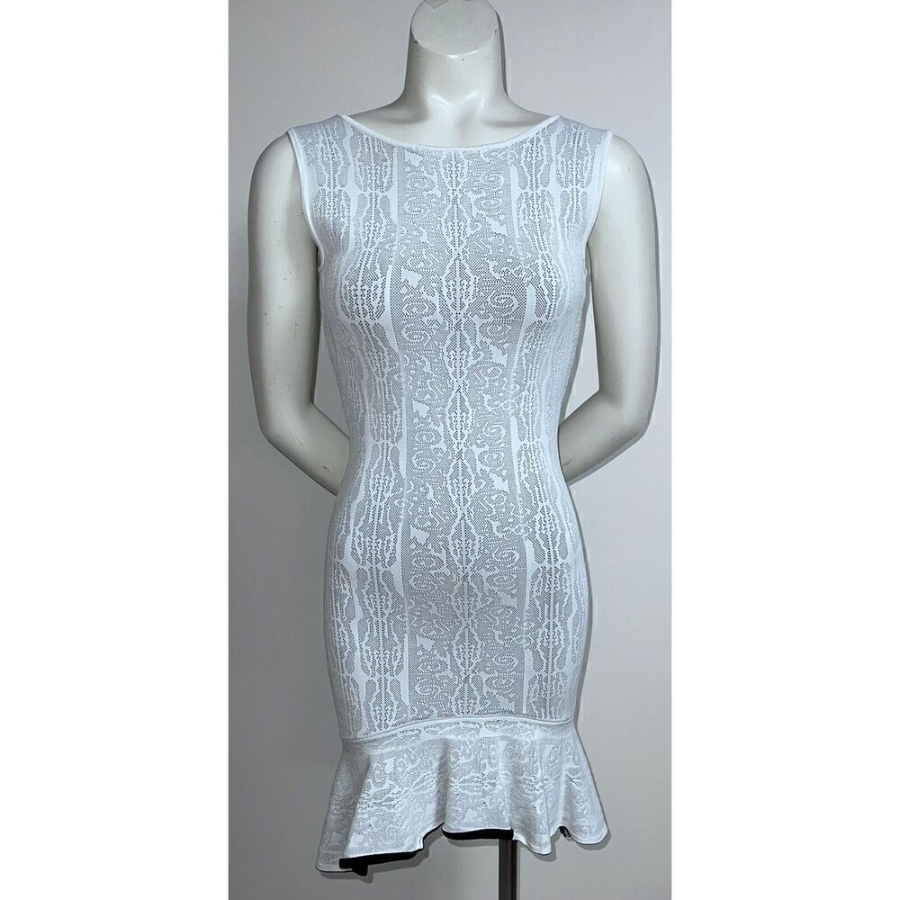 BCBG MAXAZRIA Faye Jacquard Dress ( Size XS) Self Contrast Lace Jacquard